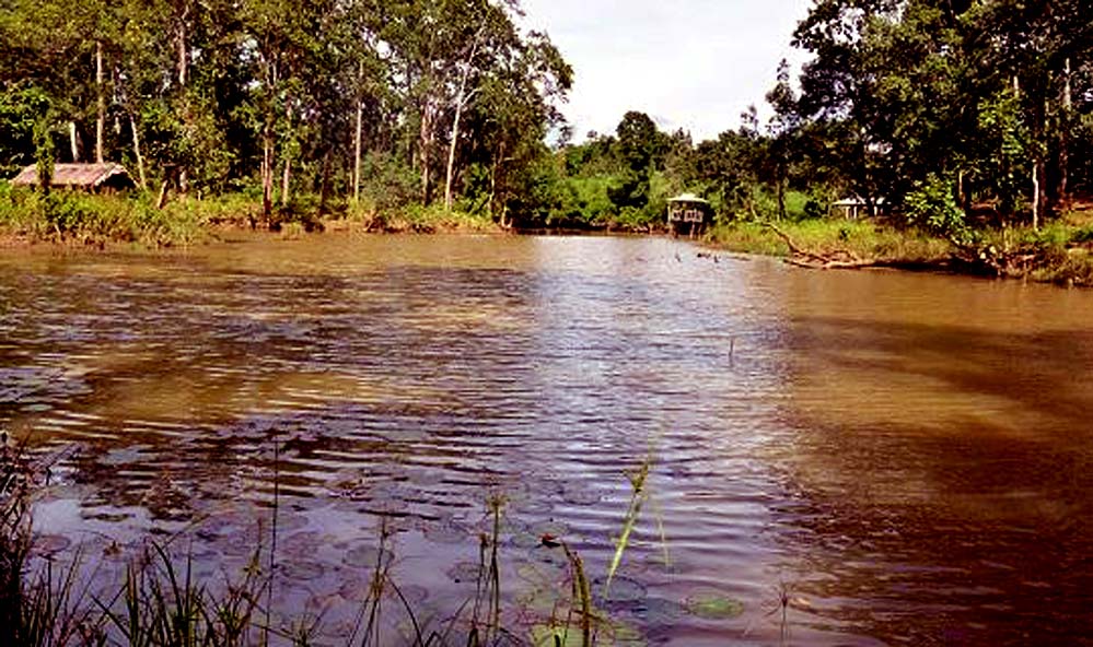 TASEK LAKE East Garo Hills, Songsak